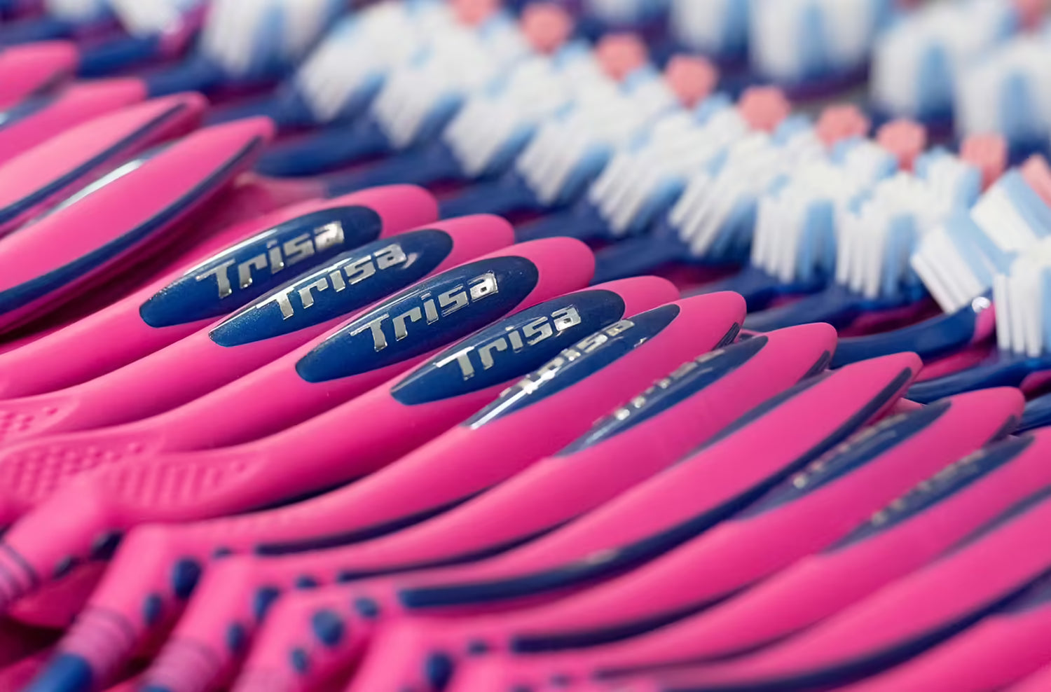 Selection of TRISA toothbrushes representing Swiss production of over one million brushes per day.